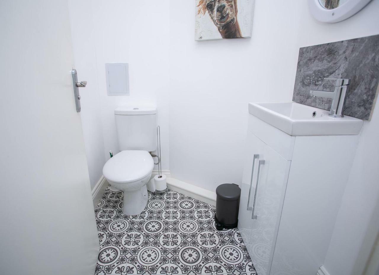 11 College Place North Belfast Eksteriør billede